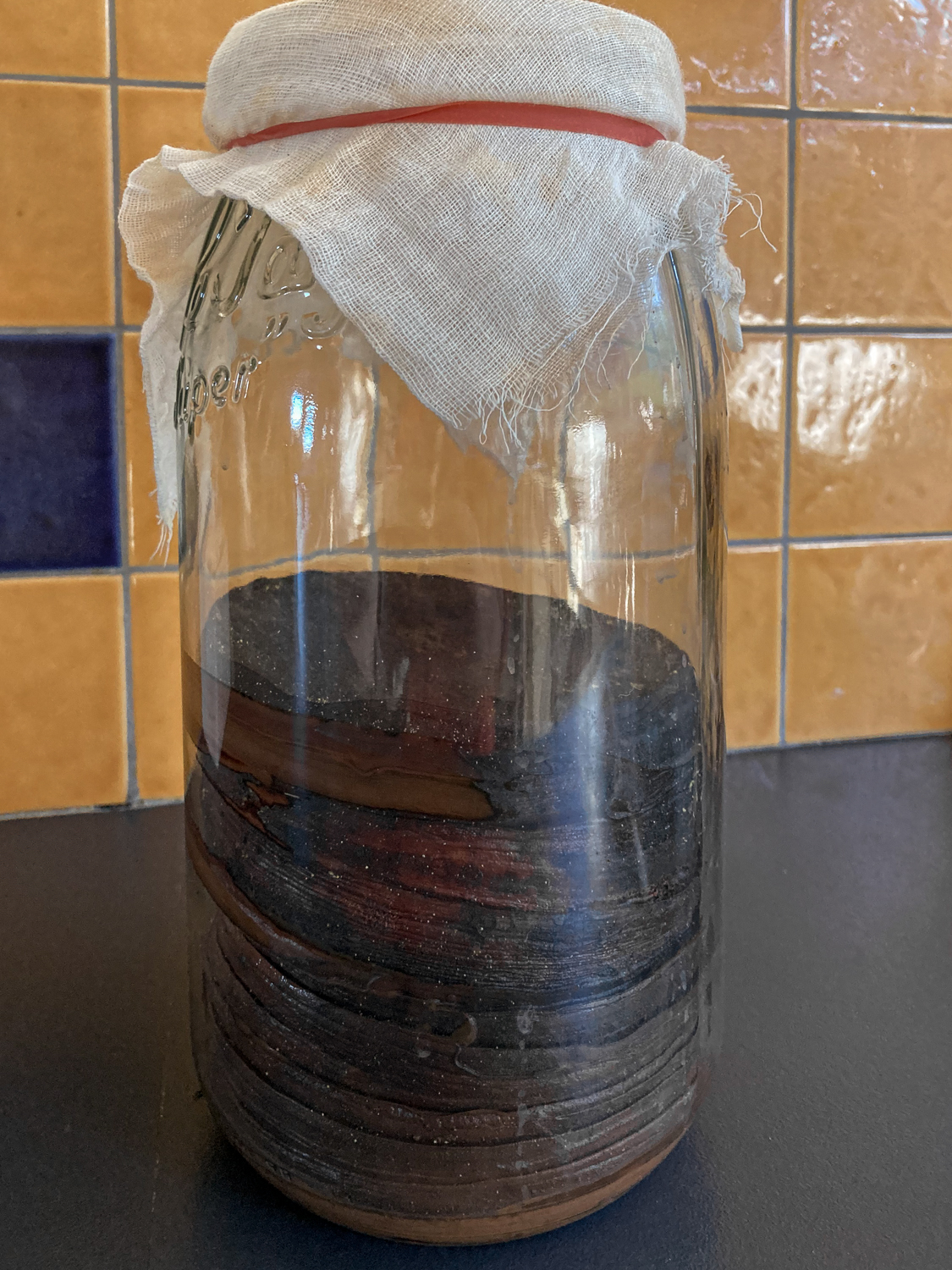 A large jar half filled with black circular disks and covered with a muslin cloth