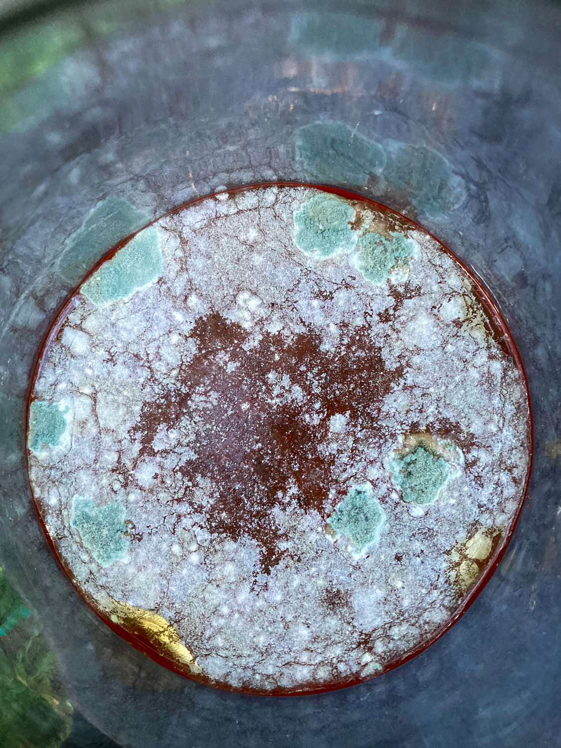 Green and white mould on the surface of yellow liquid