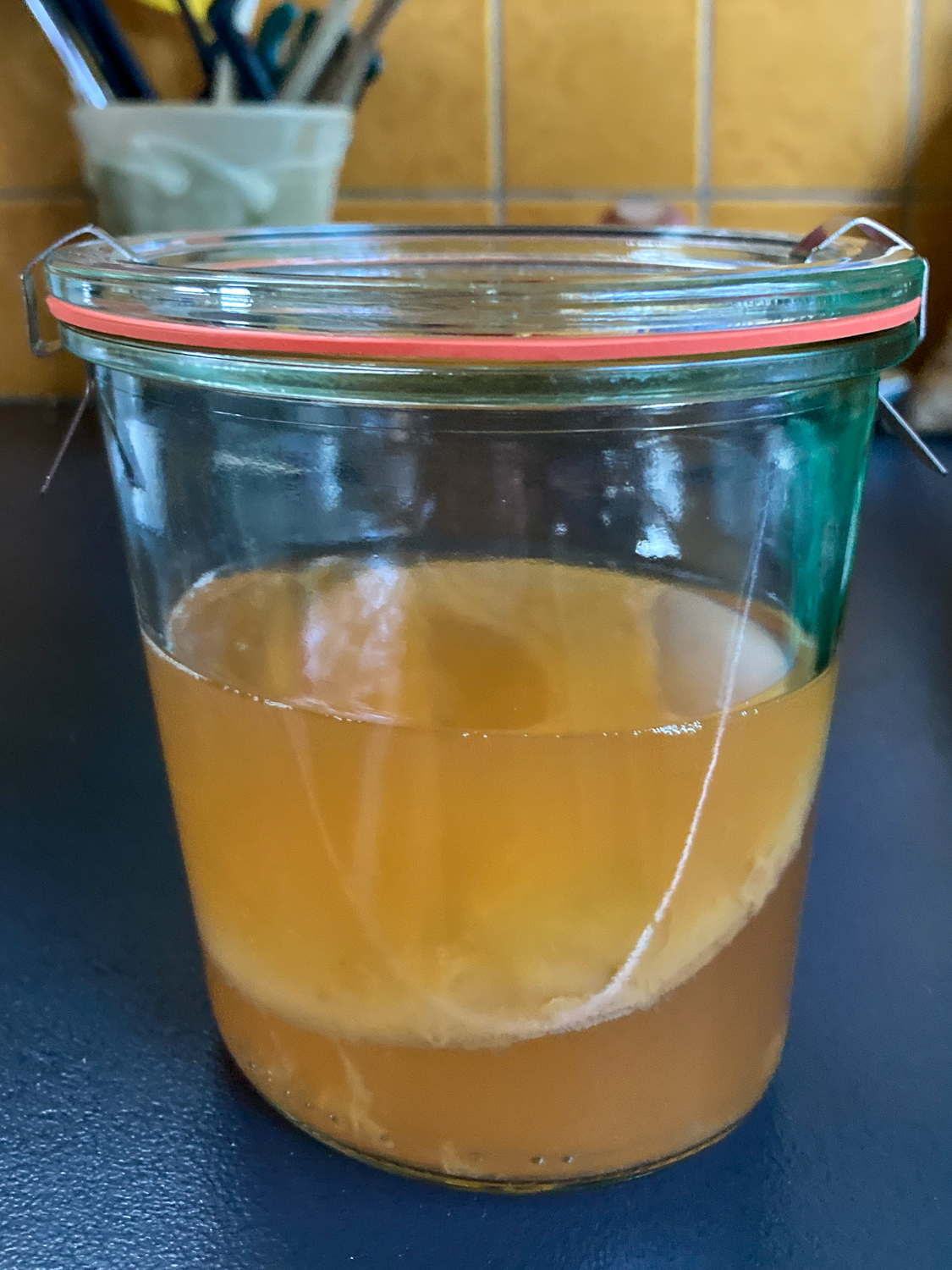 A scoby in a jar of yellow liquid