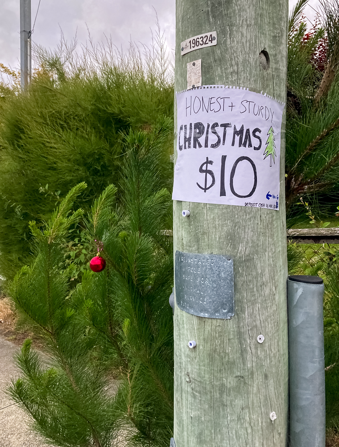 A pole with a hand written sign for "honest and sturdy Christmas tree $10", and a Christmas tree propped against it
