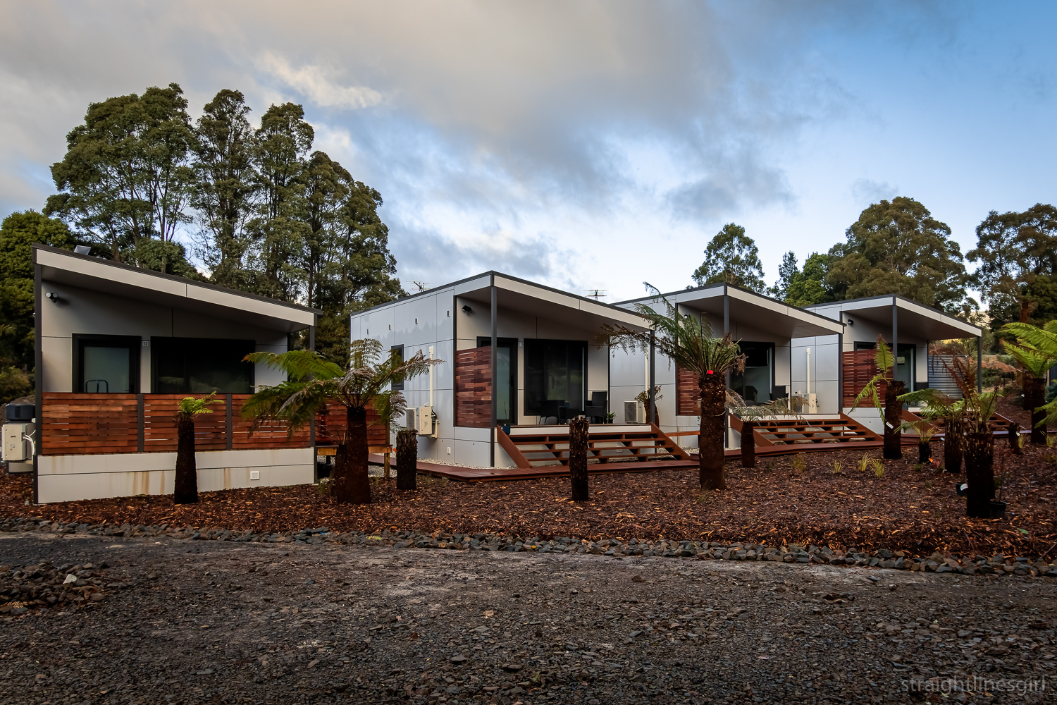 Four small accommodation units in a landscaped area with large ferns