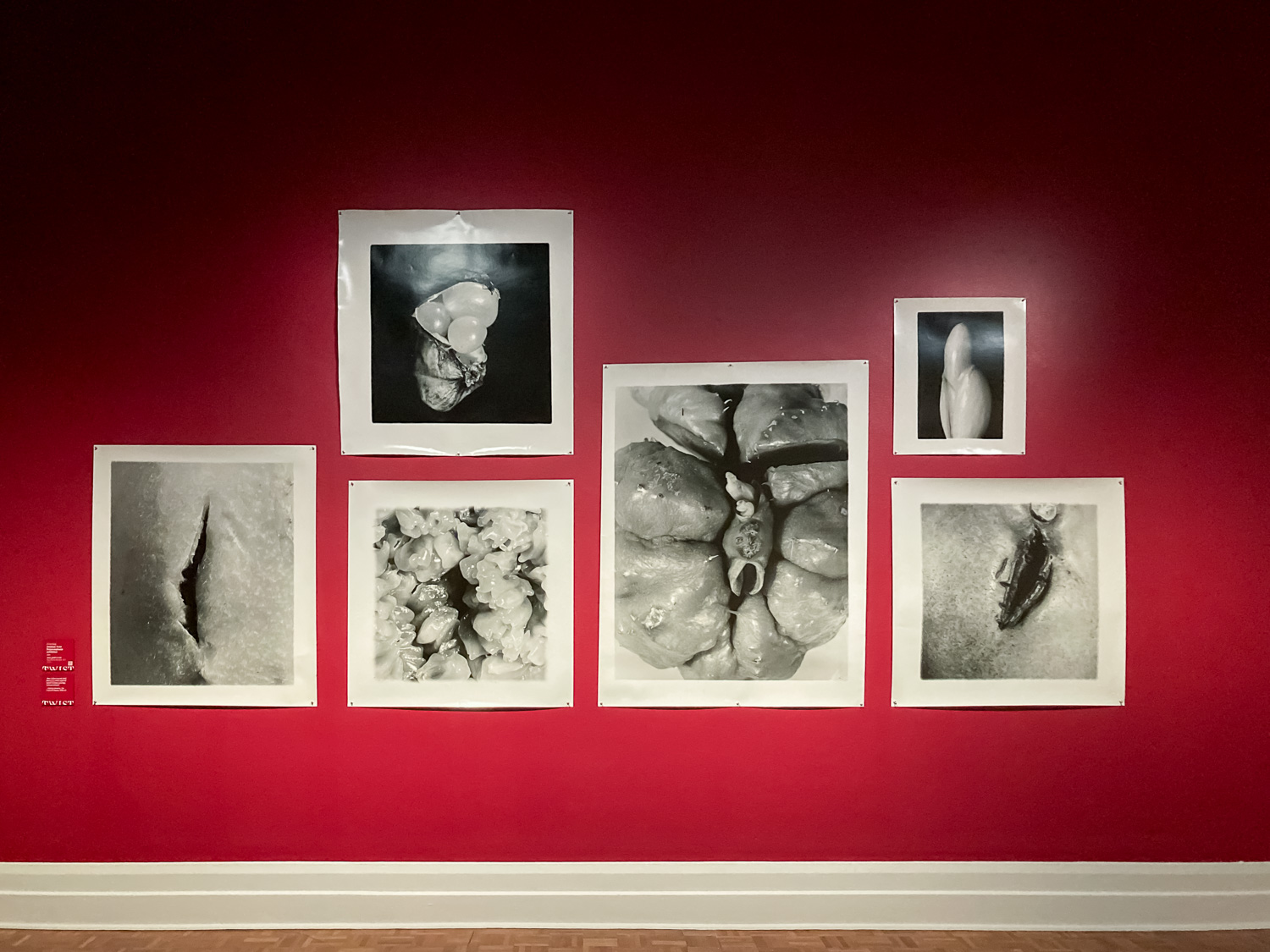A series of six black and white images on a red wall