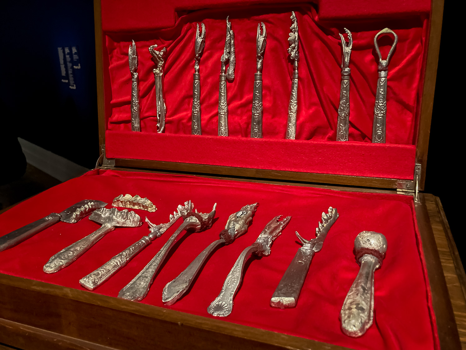 A silver cutlery set in a red-lined case. The implements resemble different animal teeth and claws