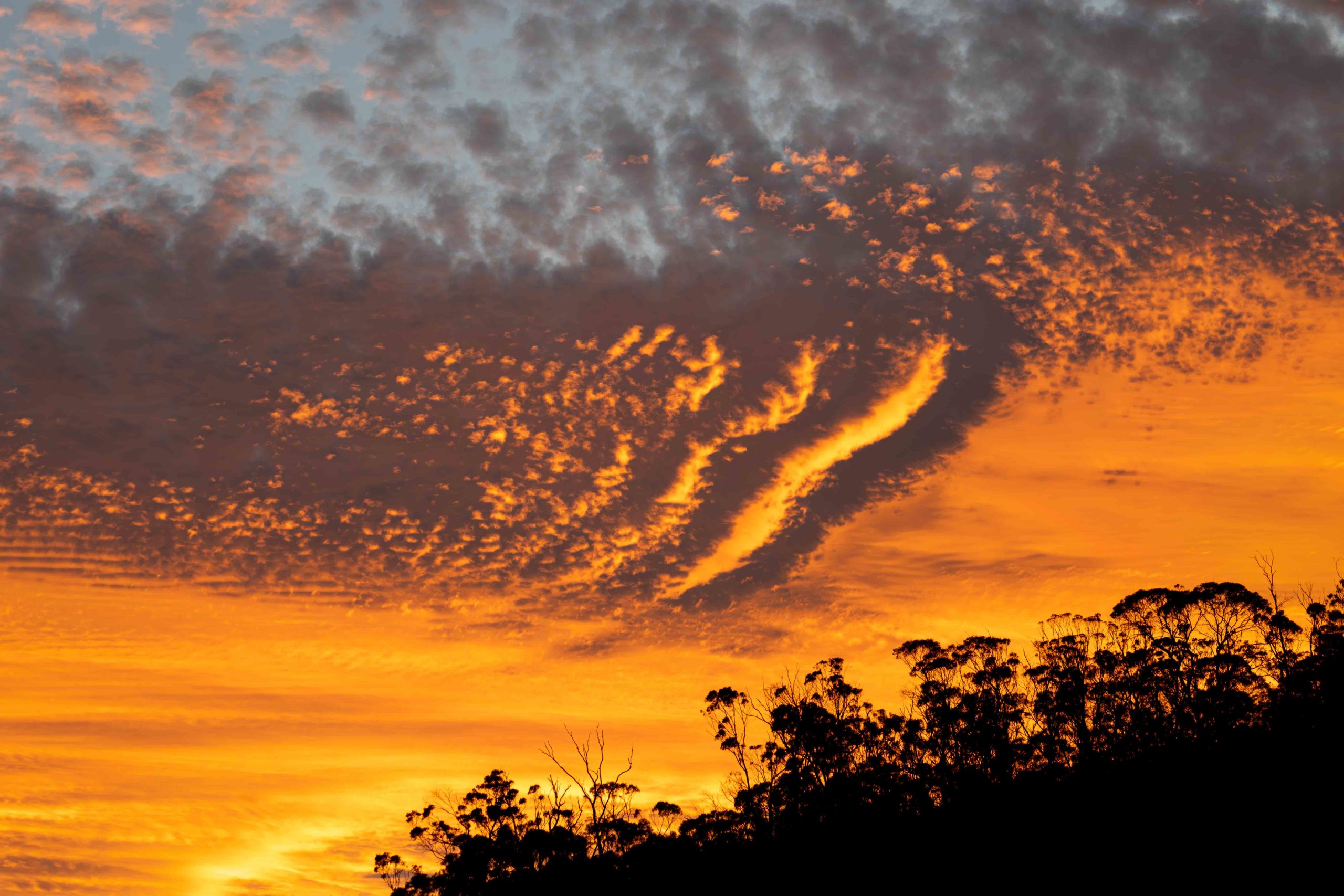 Rippled clouds at sunset over a tree-lined hill
