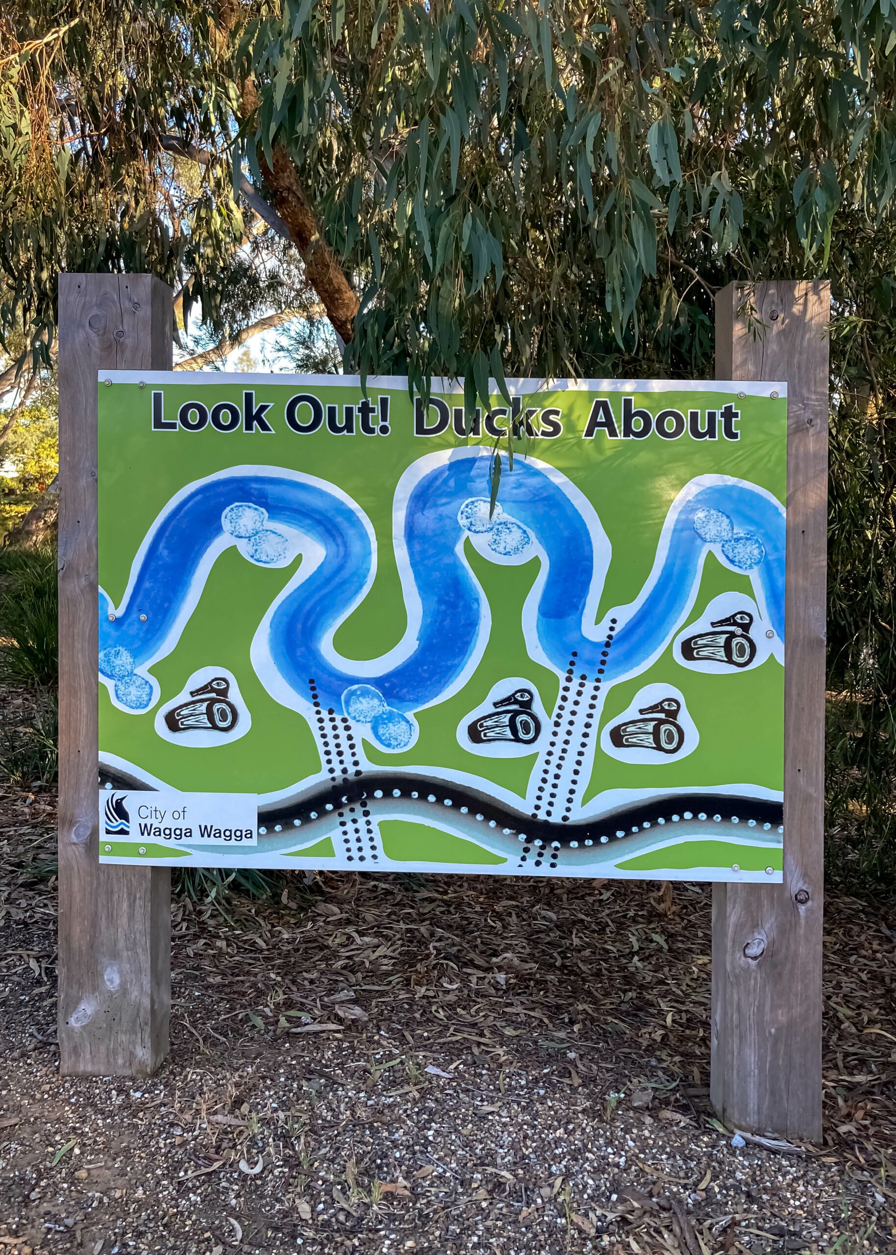 A sign stating "look Out Ducks About" with an image of a curving waterway and pictures of ducks