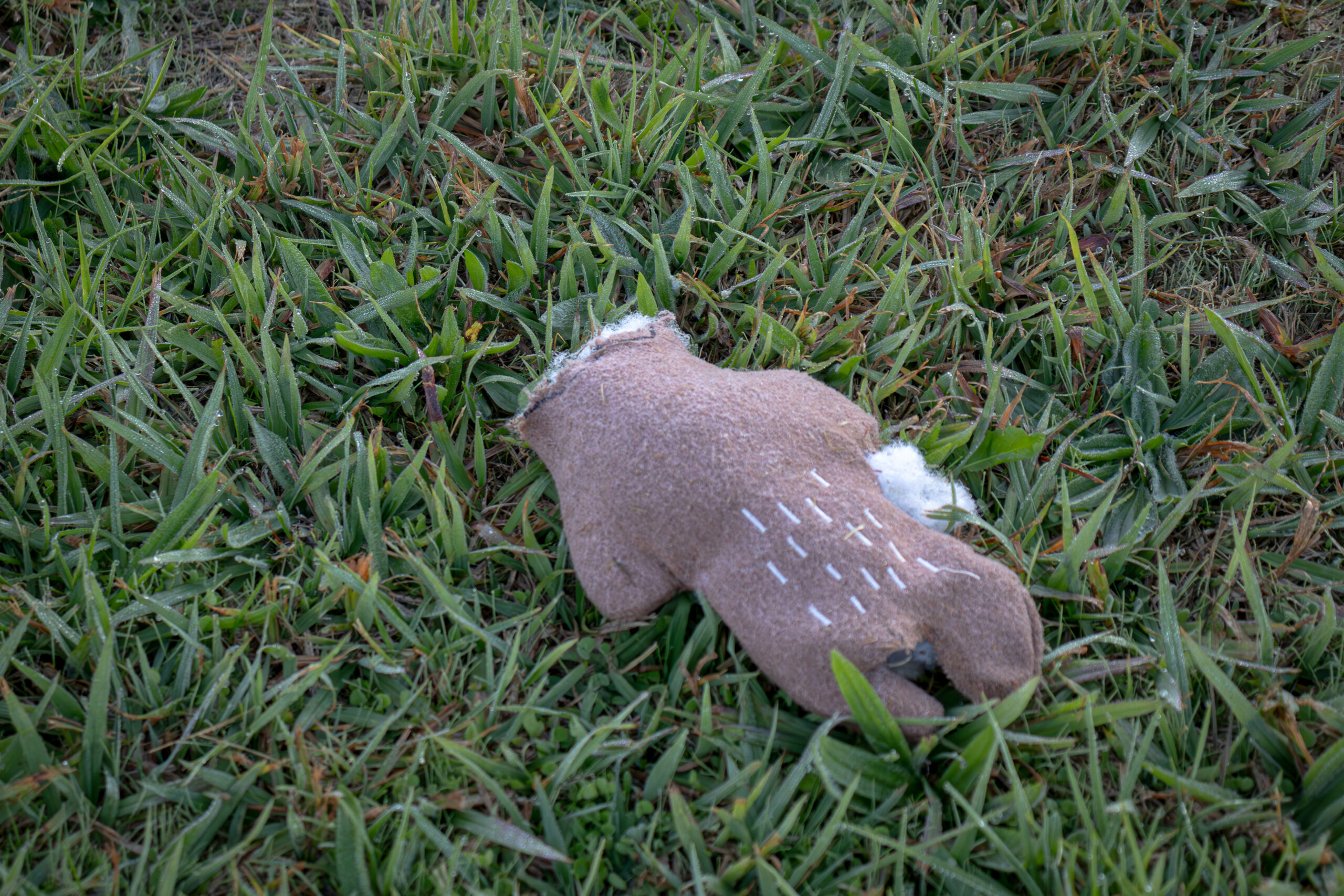 a small soft toy with it head ripped off on some green grass