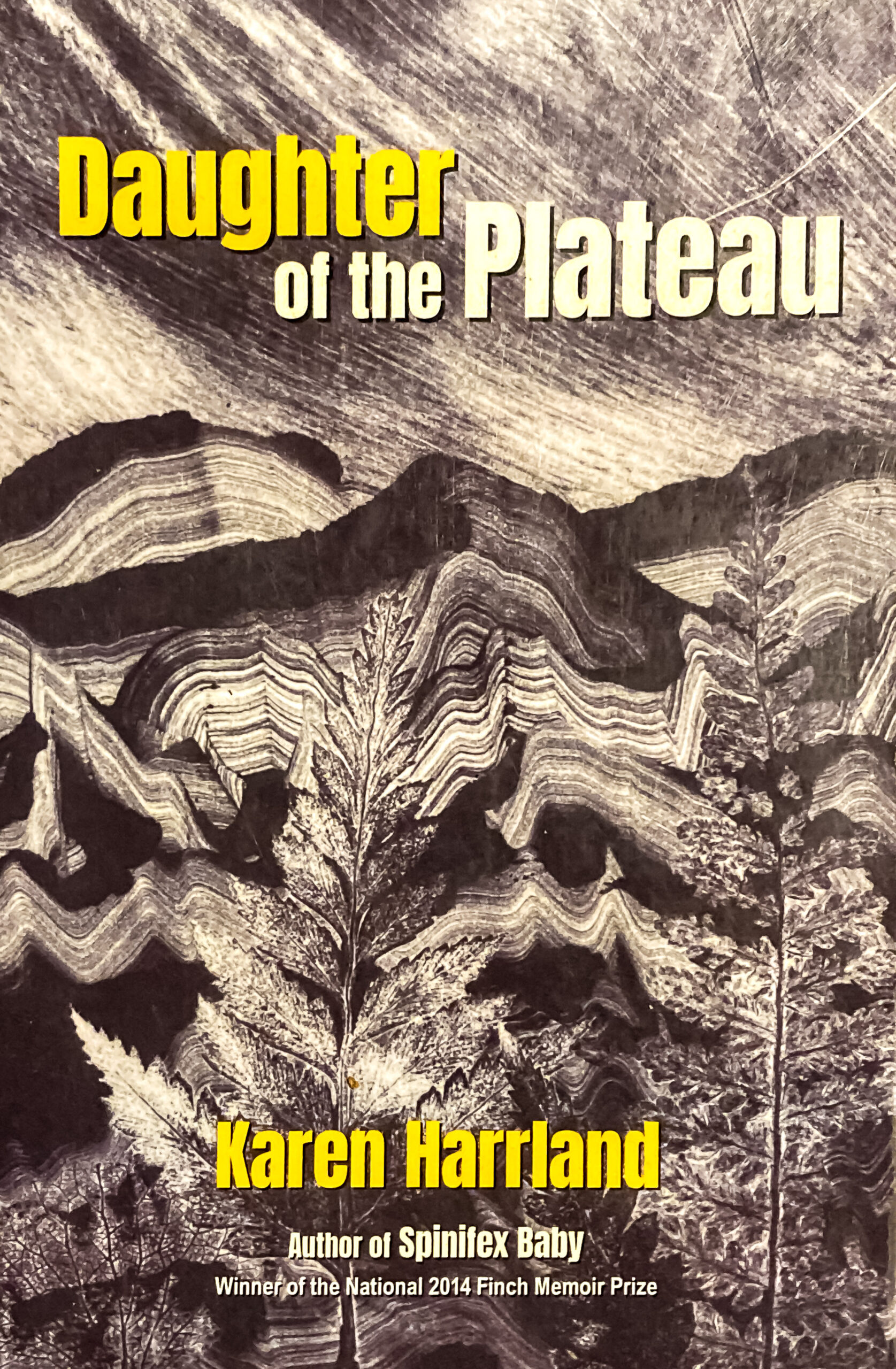 A book cover titled Daughter of the Plateau by Karen Harrland backed with an abstract image of rock formations and ferns