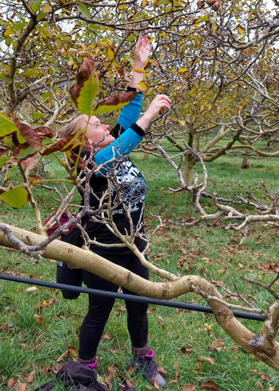 Barb is stretching up into a bare leafed tree. She is wearing black pants and a black top with blue sleeves