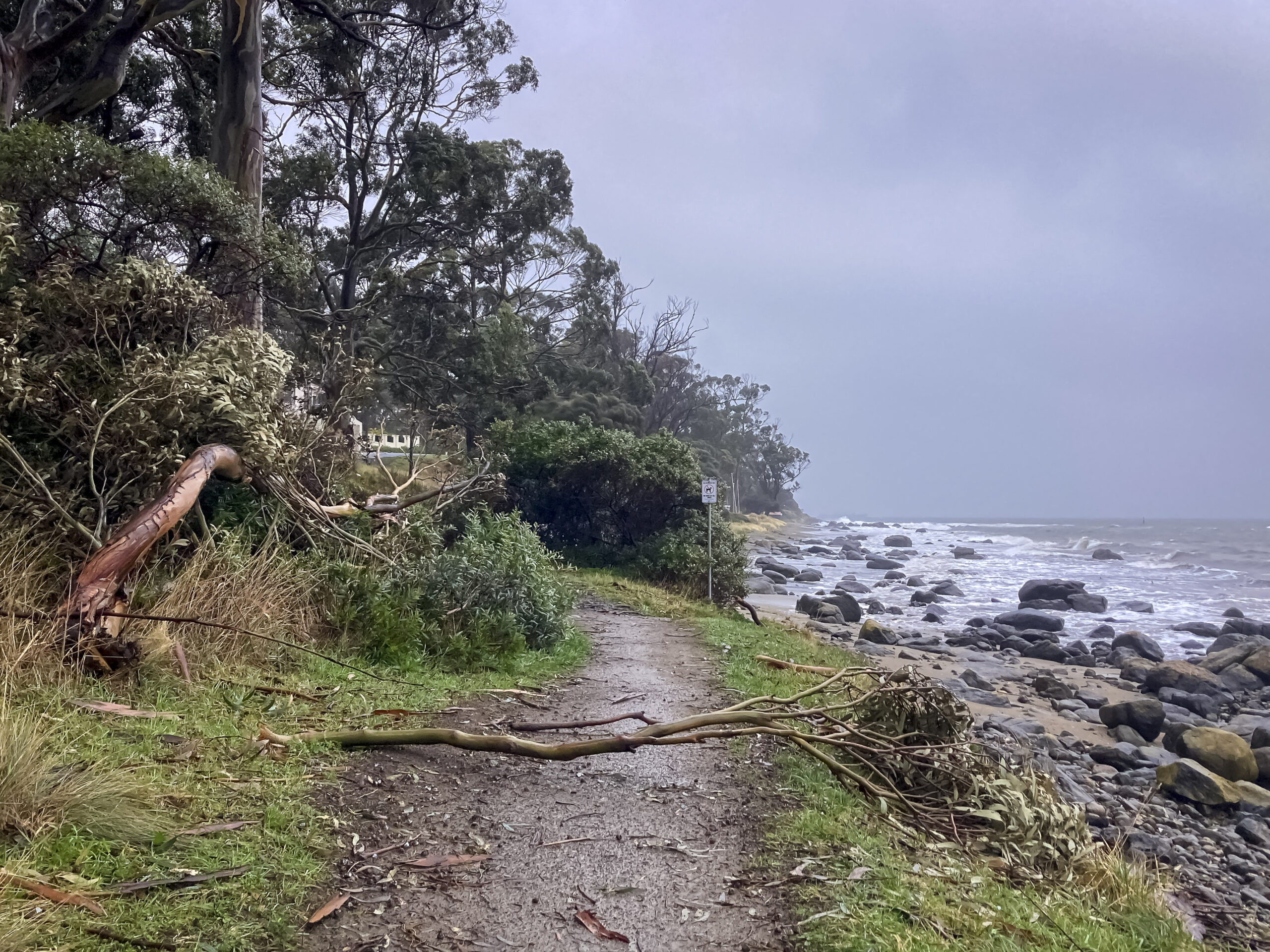 A walking track near the beach on a grey day. There is a small tree branch lying across the track. The water in the background is rough