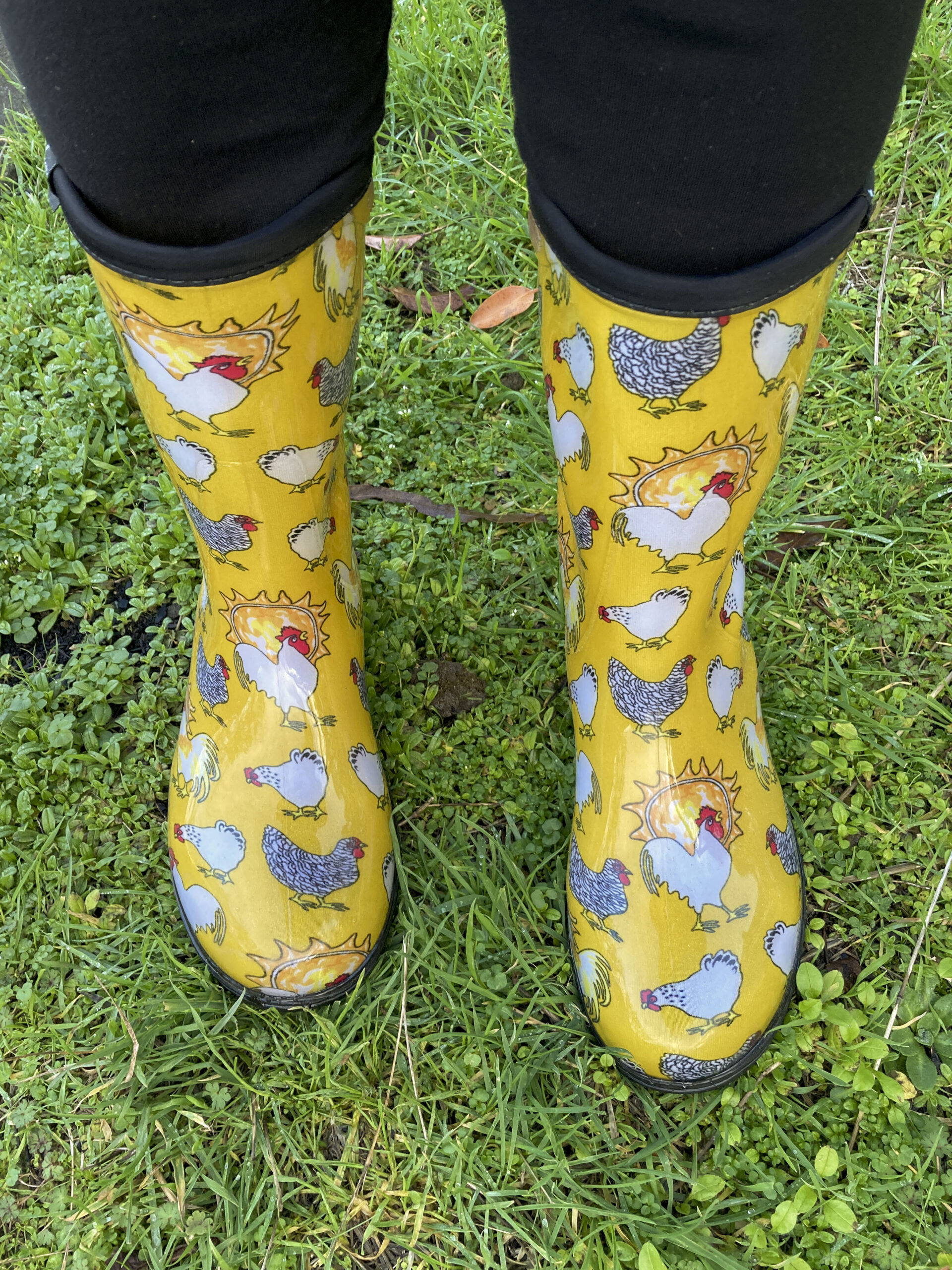 A pair of yellow gumboots with pictures of chickens all over 