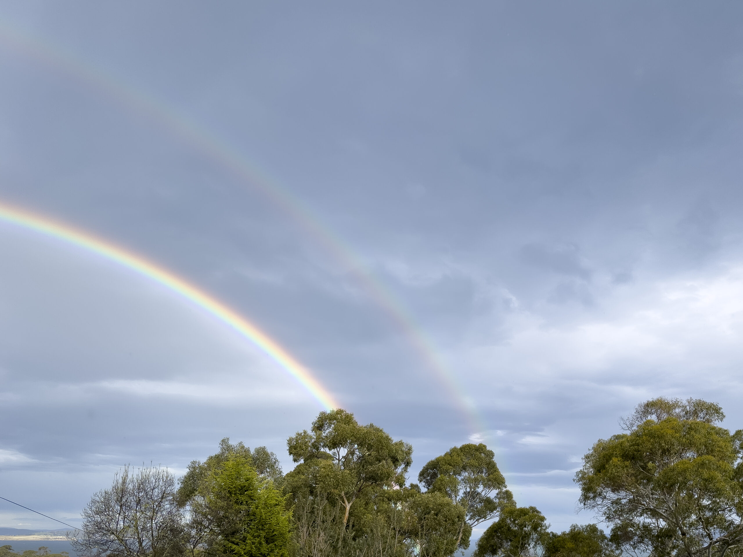 A double rainbow above some trees in grey cloudy skies