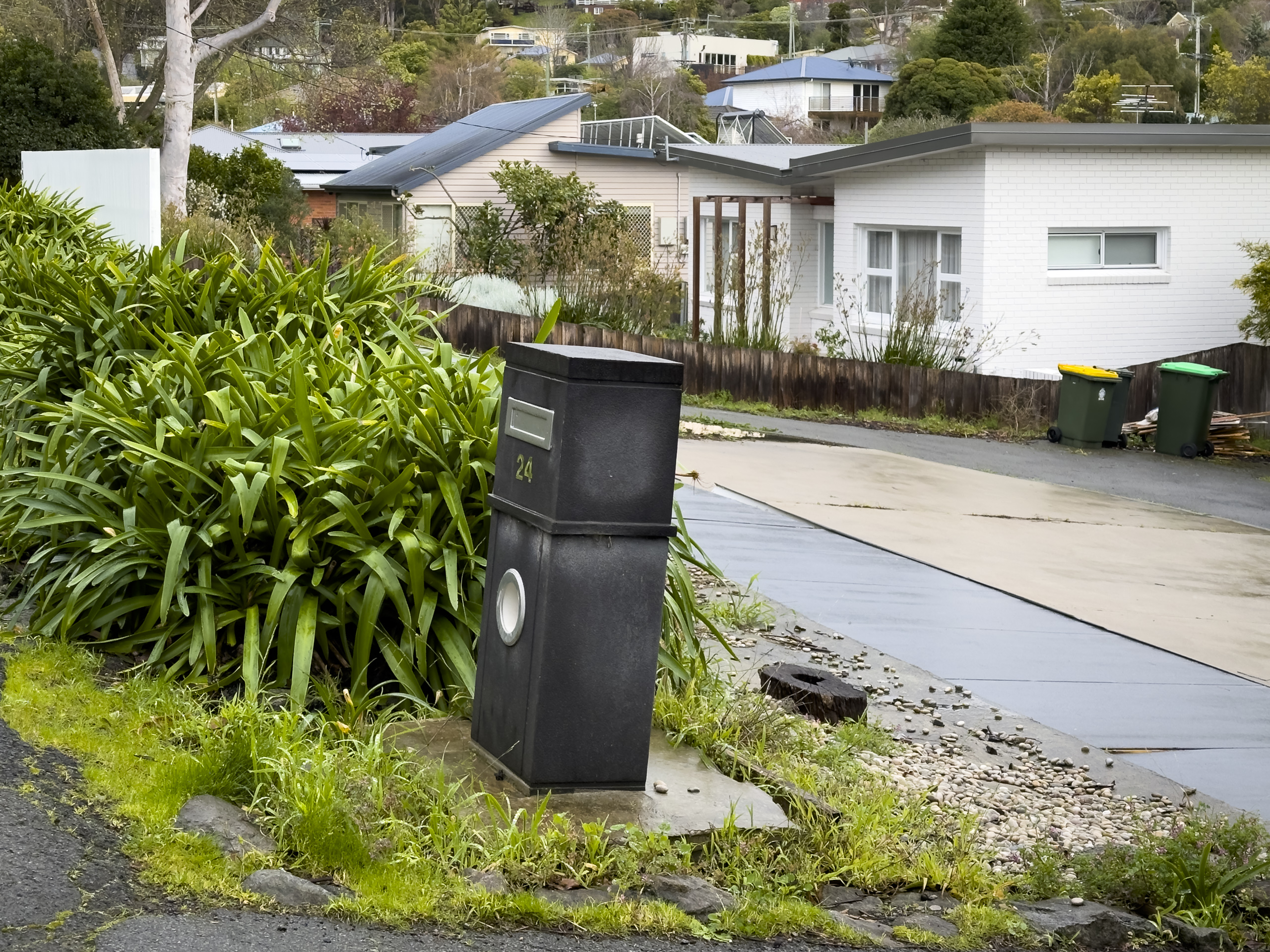 A black fence behind a clump of strappy leafed plants is lying on the ground