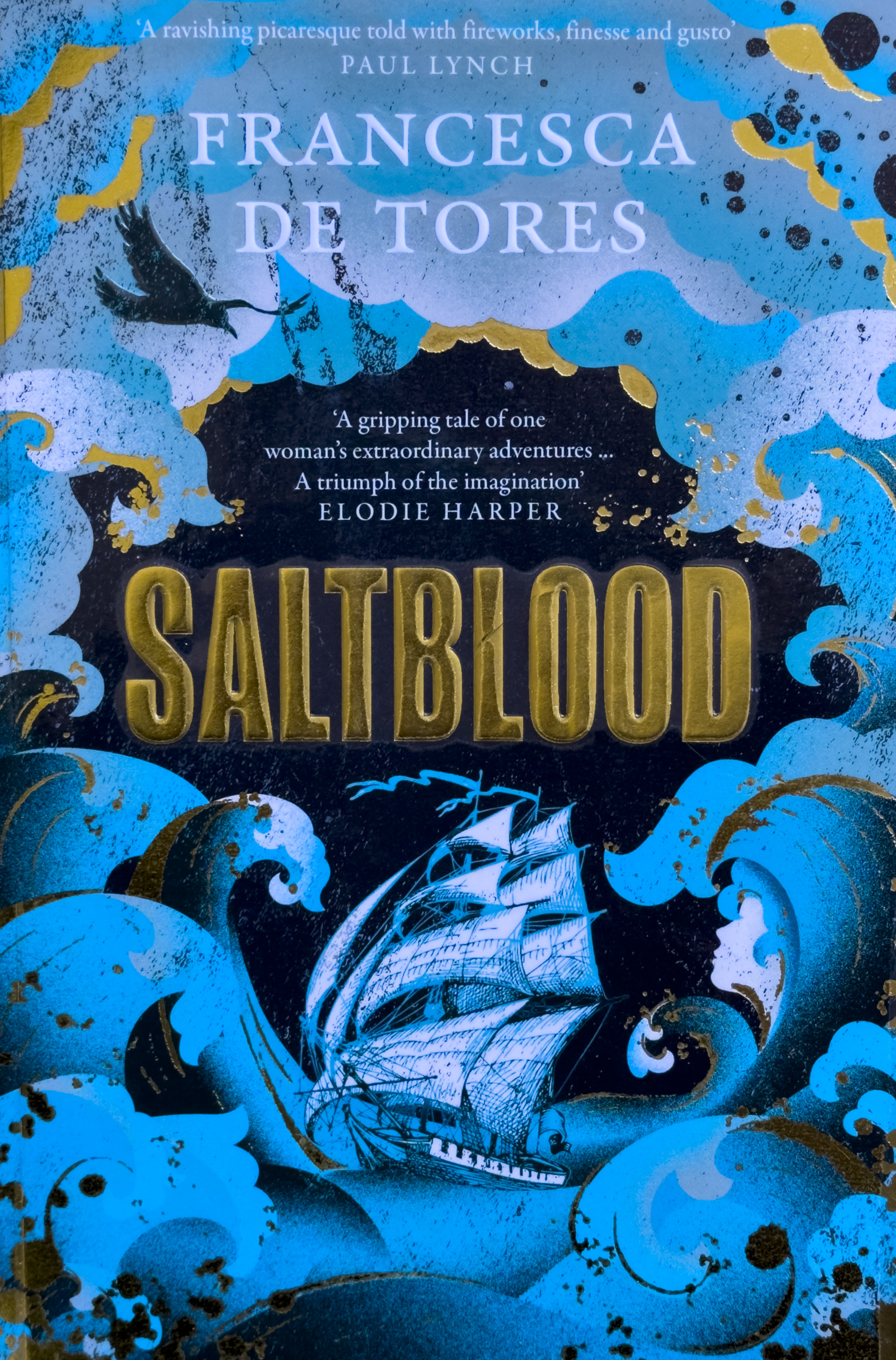 The cover of a book called Saltblood by Francesca de Tores. It is a blue and black covere with an illustration of a pirate ship and raging seas around it