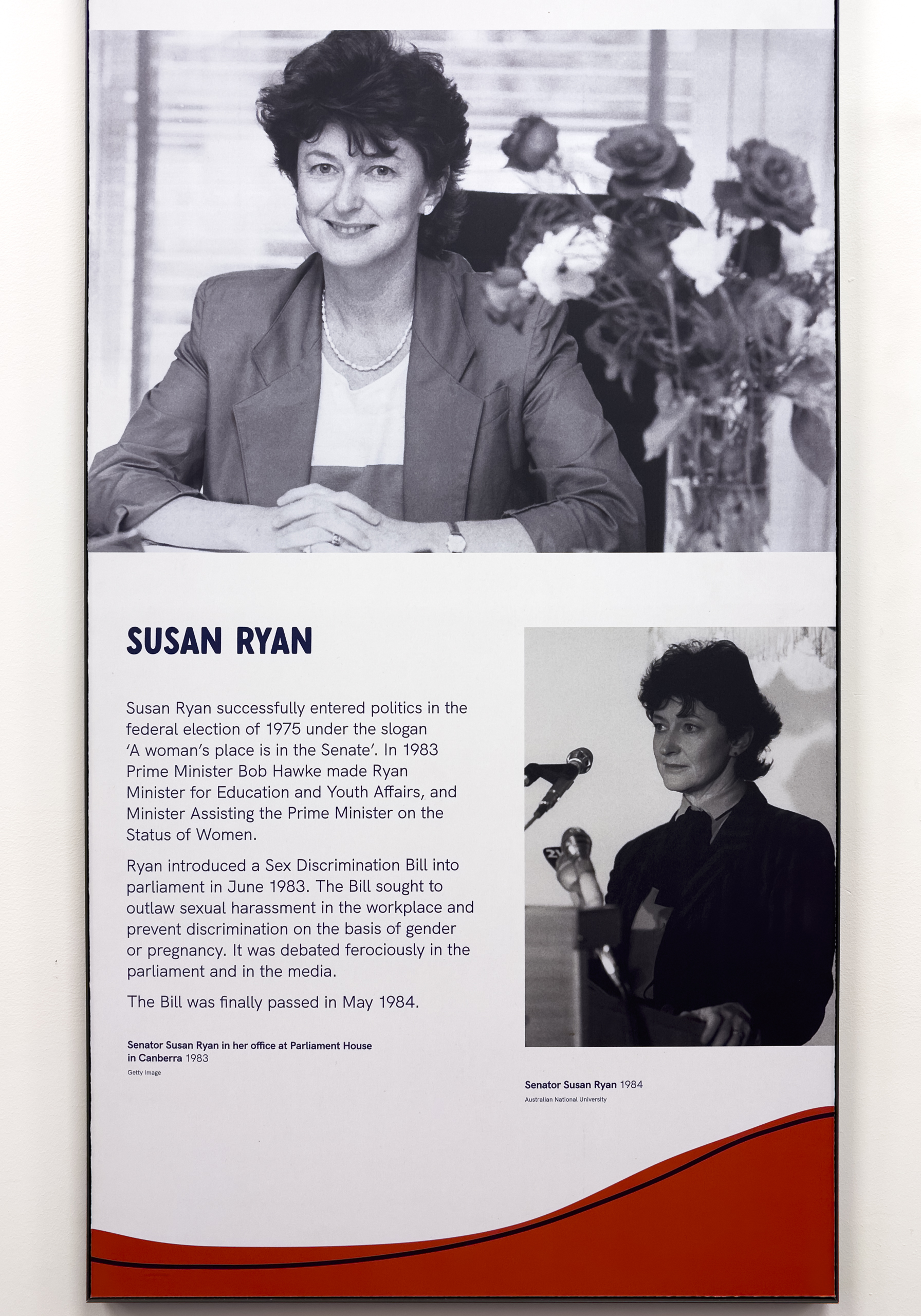 Two photos of a woman with dark hair and a title SUSAN RYAN followed by some written information