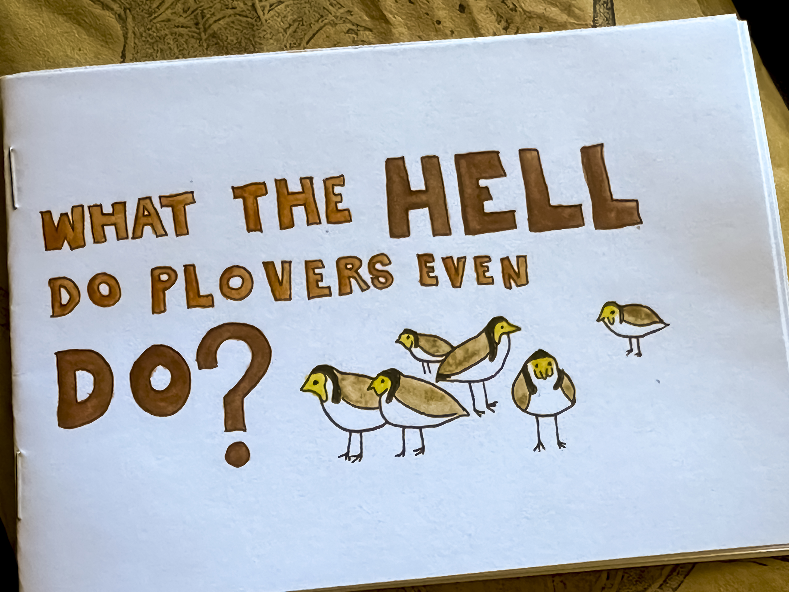 A small zine with hand drawn pictures of plovers and the title WHAT THE HELL DO PLOVERS EVEN DO?