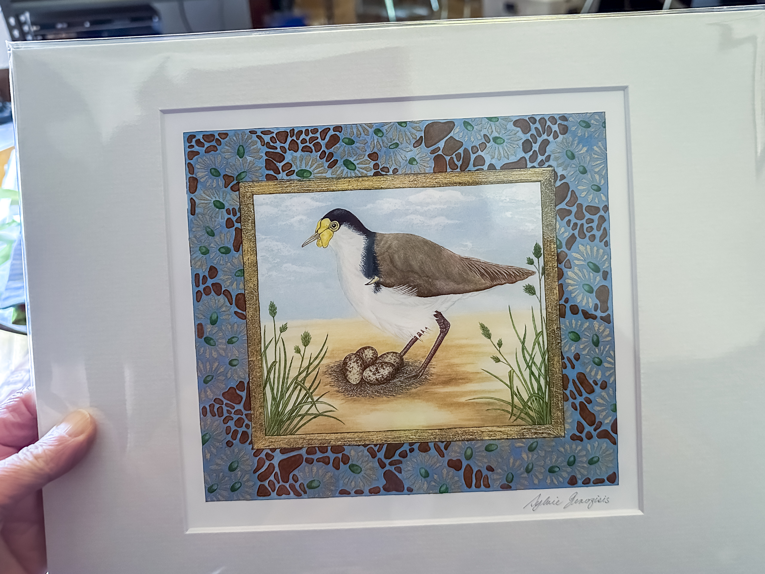 A fine art print of a brown and white bird standing over a nest with four eggs. There is a decorative border in blue, brown, yellow and green around the edge of the artwork