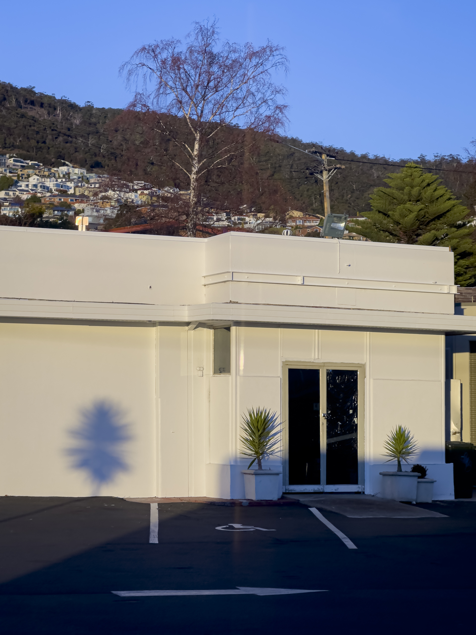 Pot plants casting a shadow on the wall of a white building