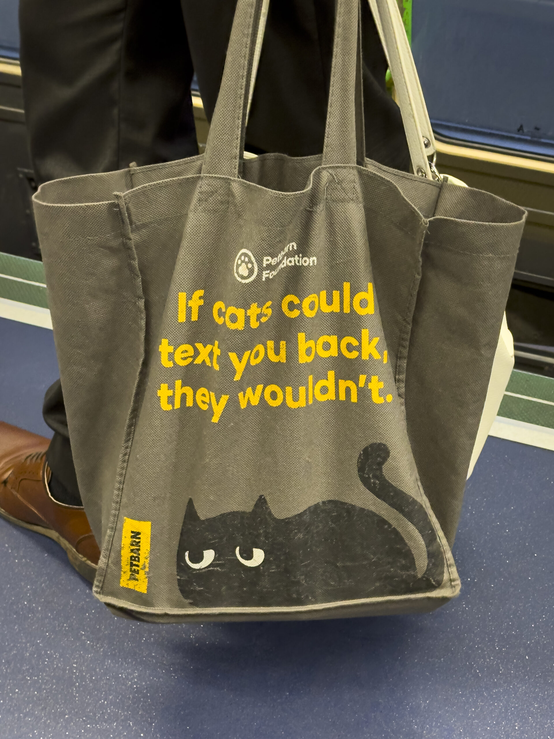 A tote bag with the text "If cats could text you back they wouldn't" and a picture of a black cat