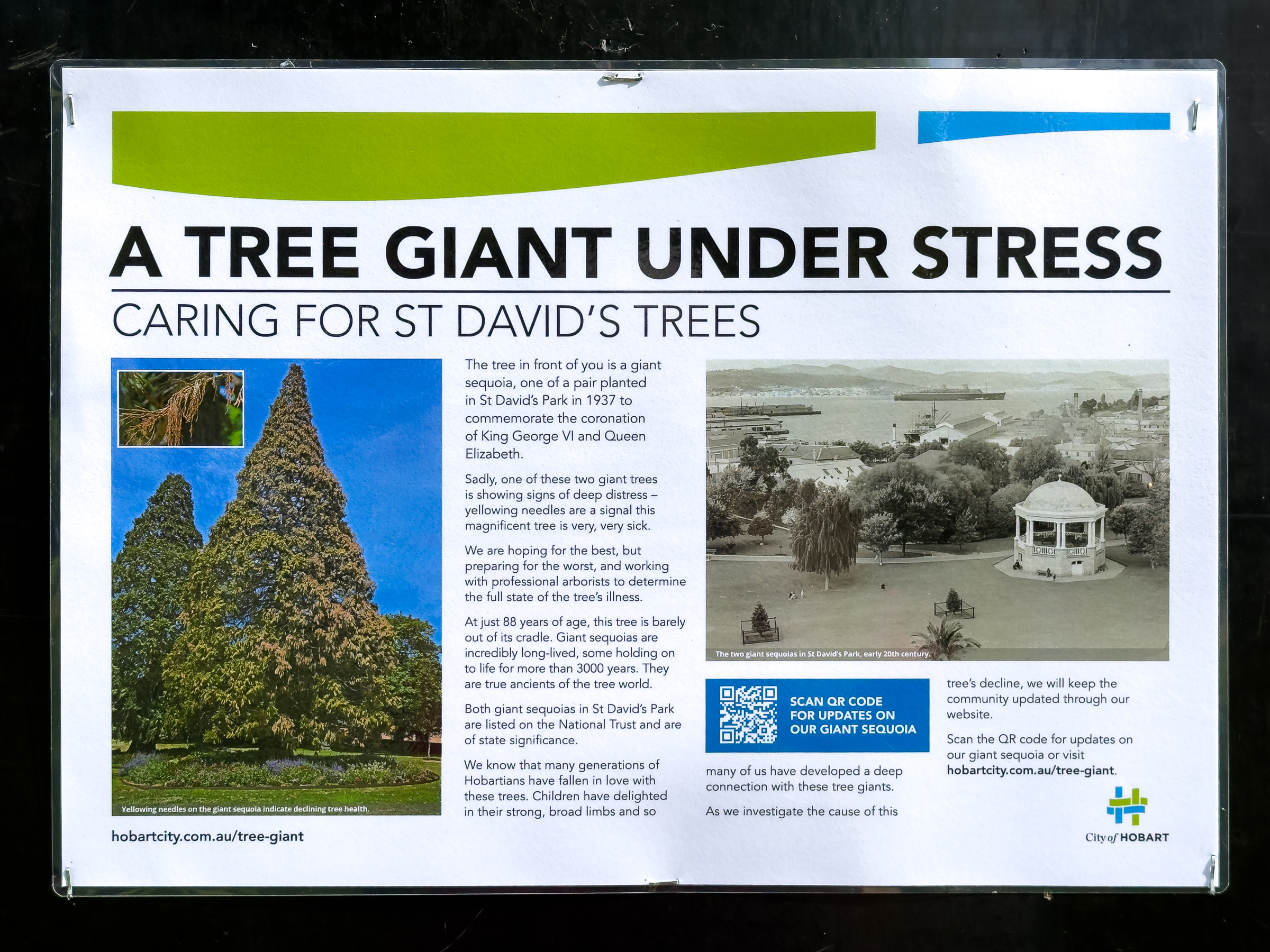 A sign that tells of the illness of the giant sequoia tree in Hobart's St David's Park.