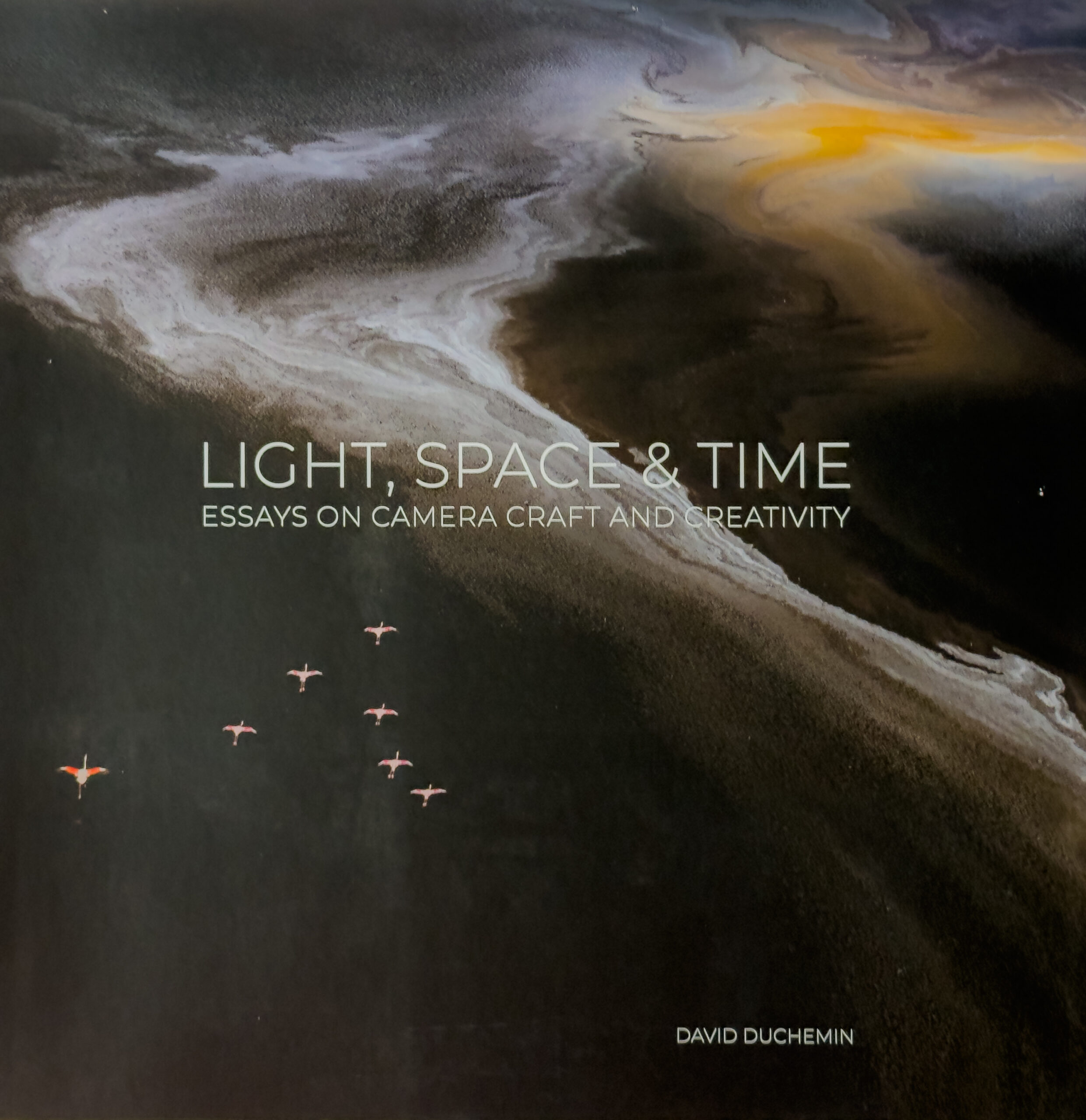 The cover of a book called "Light, Space and Time" by David duChemin. It features an abstract photo of birds flying over yellow-coloured water