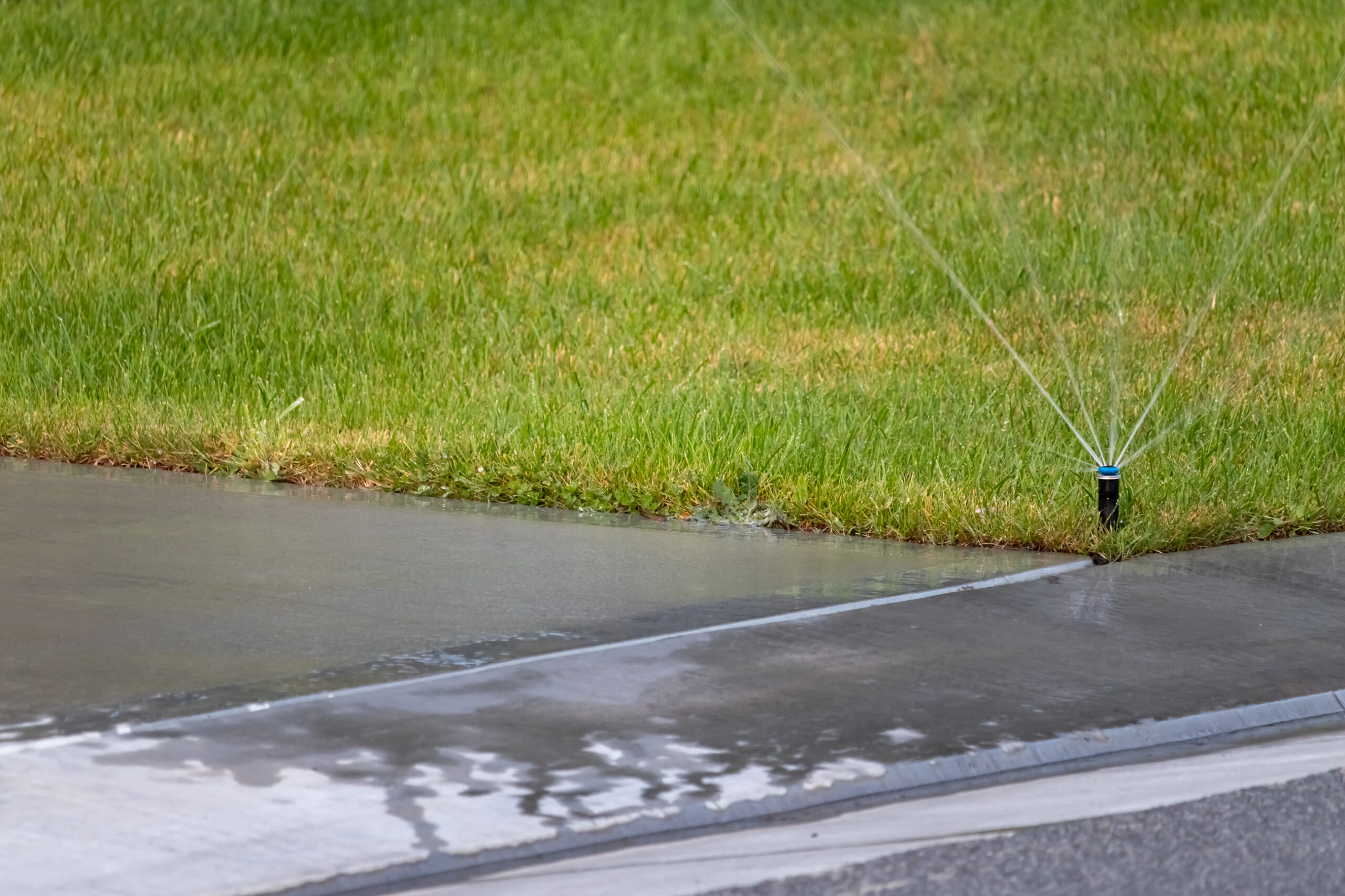 A low level sprinkler watering very green grass and a lot of the water is running off onto the concrete