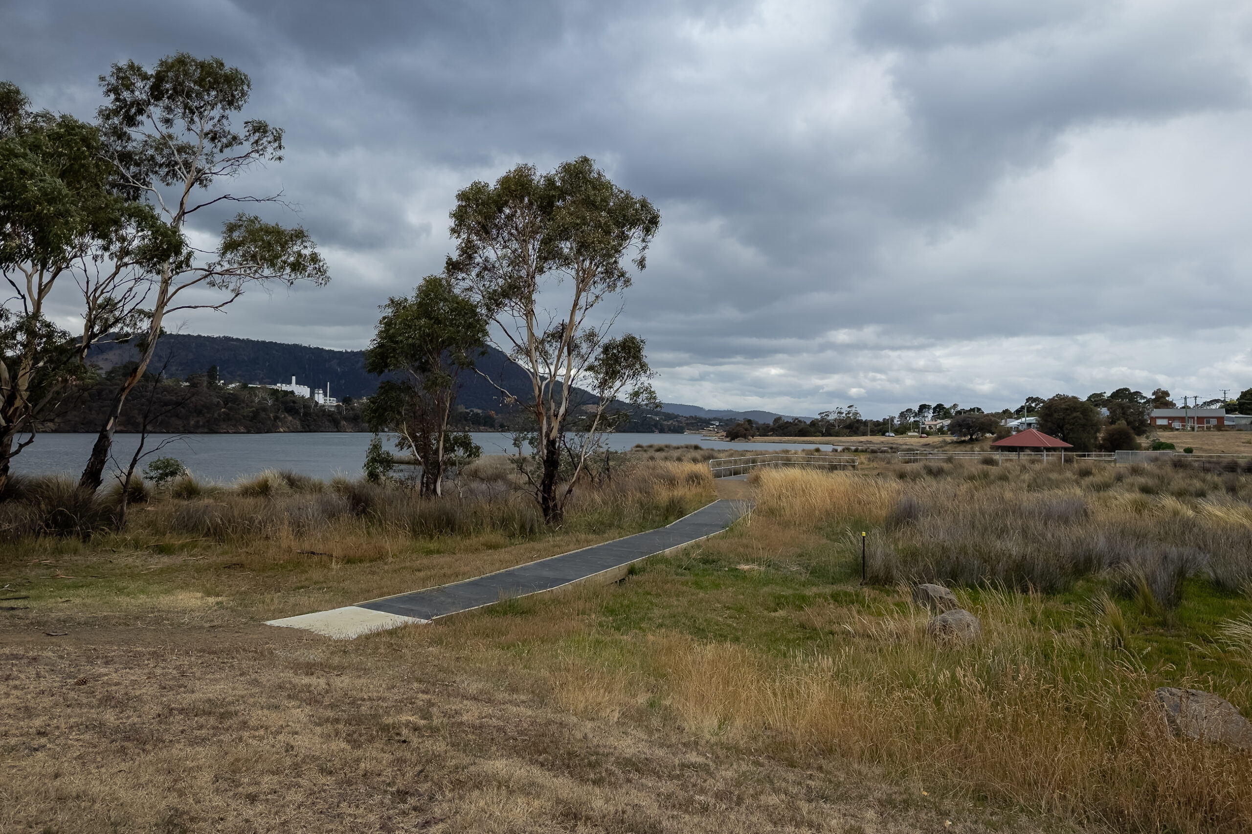 a boardwalk across a wetland