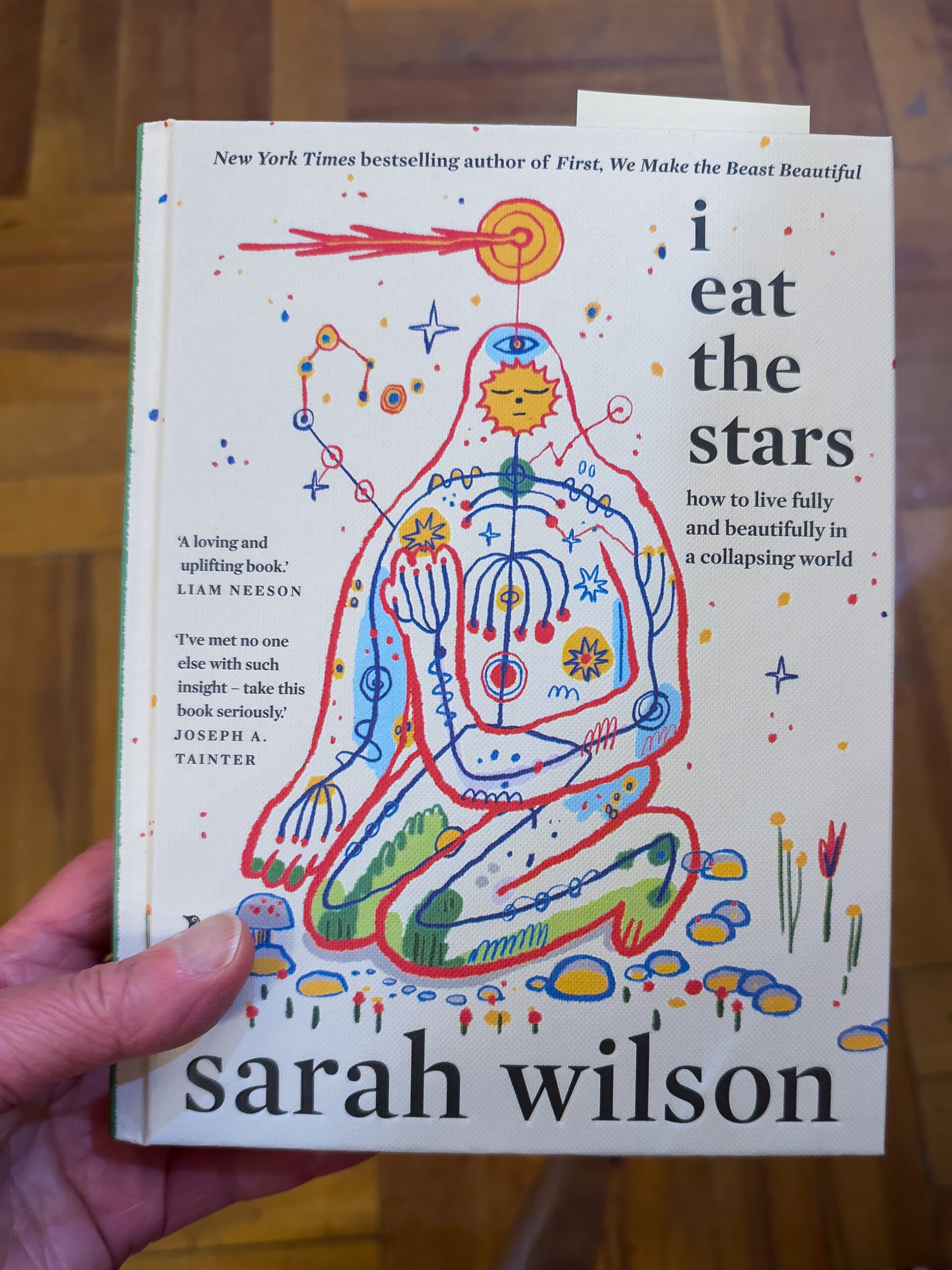 A hand holding the book I Eat The Stars by Sarah Whilson. It has stylised graphic of a person kneeling while there is a lot going on around them