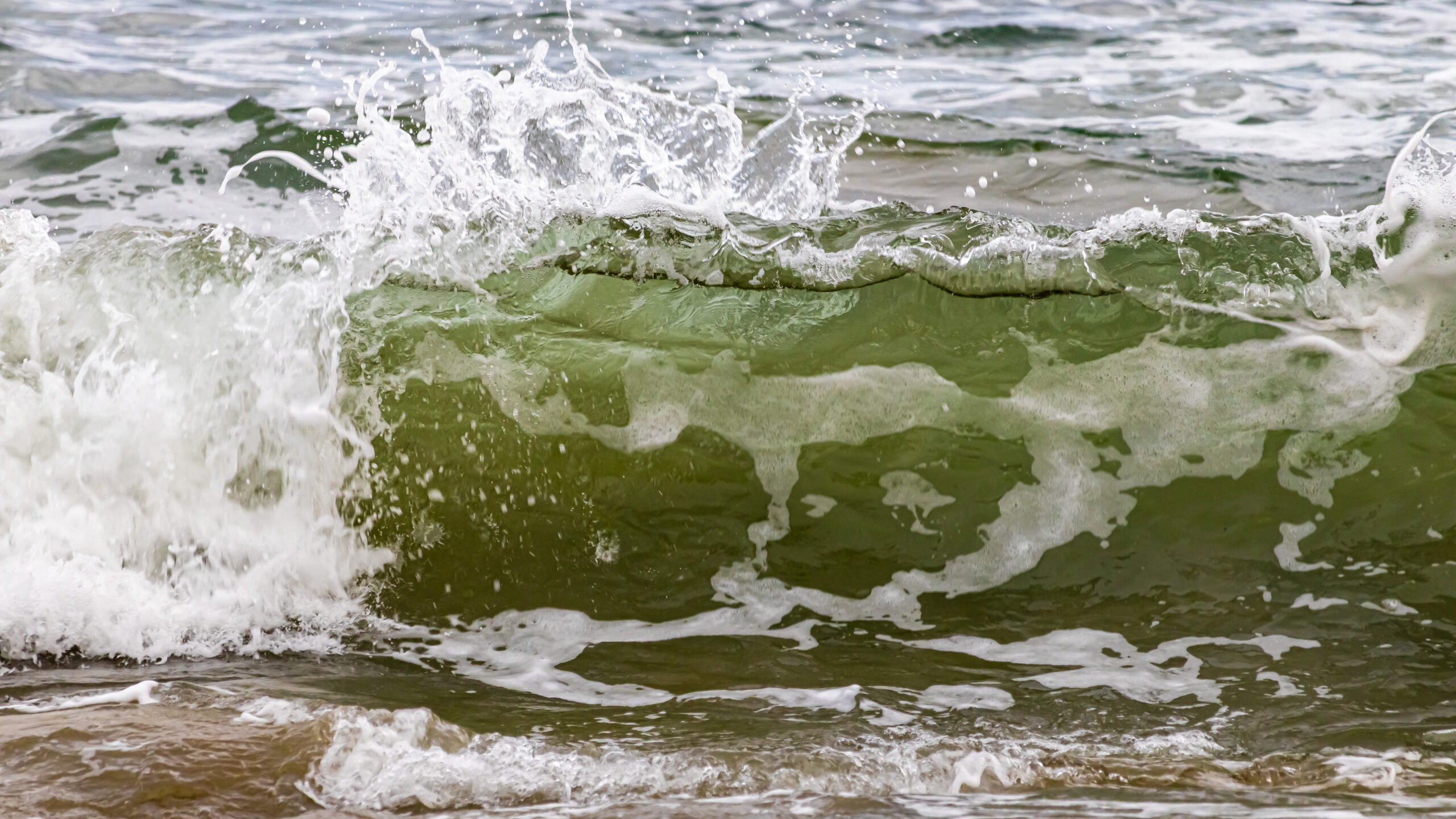 A close up of a small wave. The water appears green