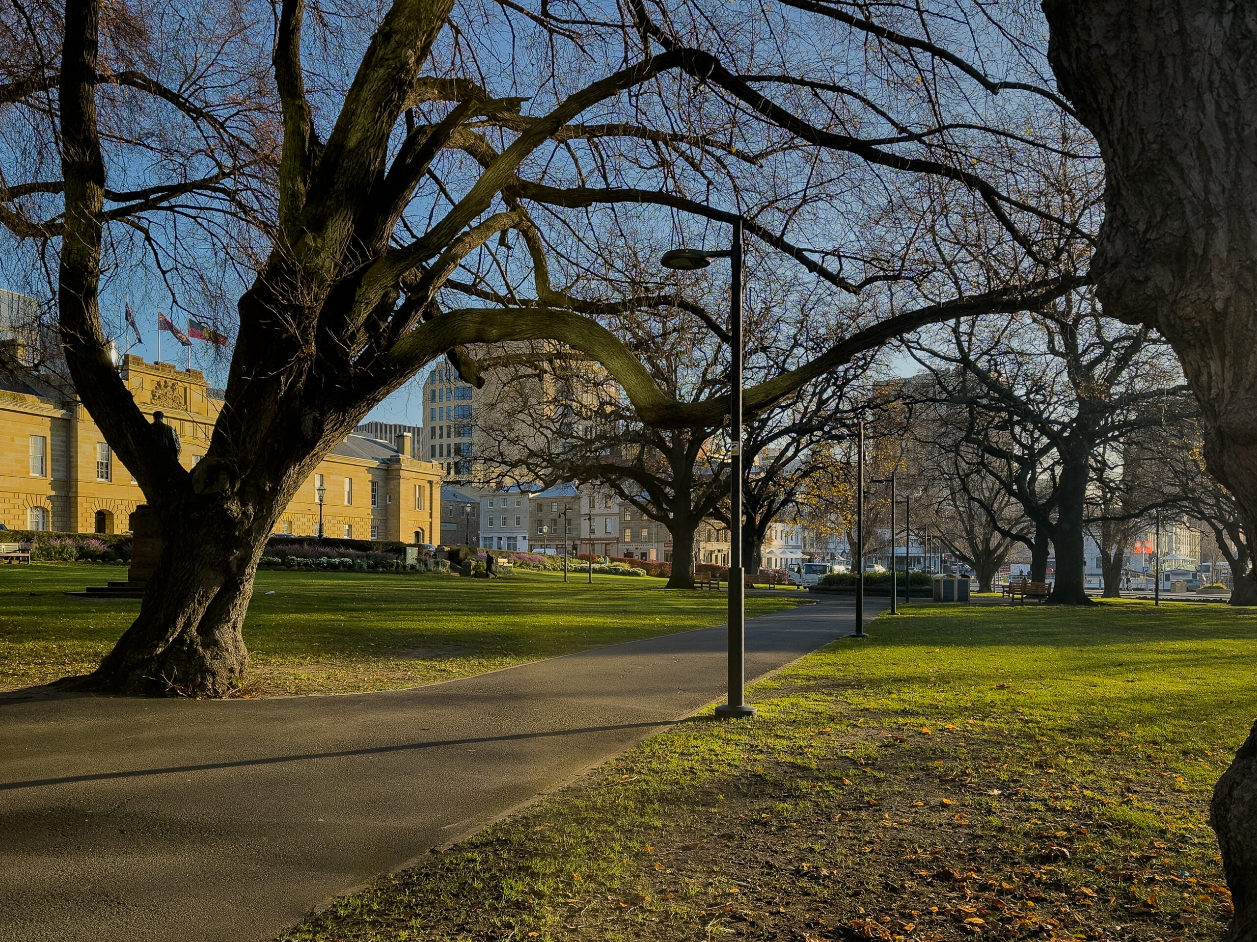 Some trees with no leaves outside a sandstone building, There is a weird light on the tree branches