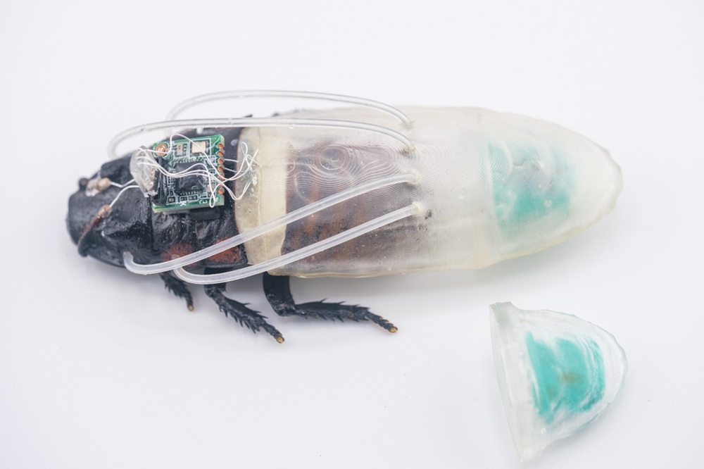 A cockroach encased in a 3D printed diving suit covering the lower half of its body. Tubes connect the suit to the top half of the cockroach