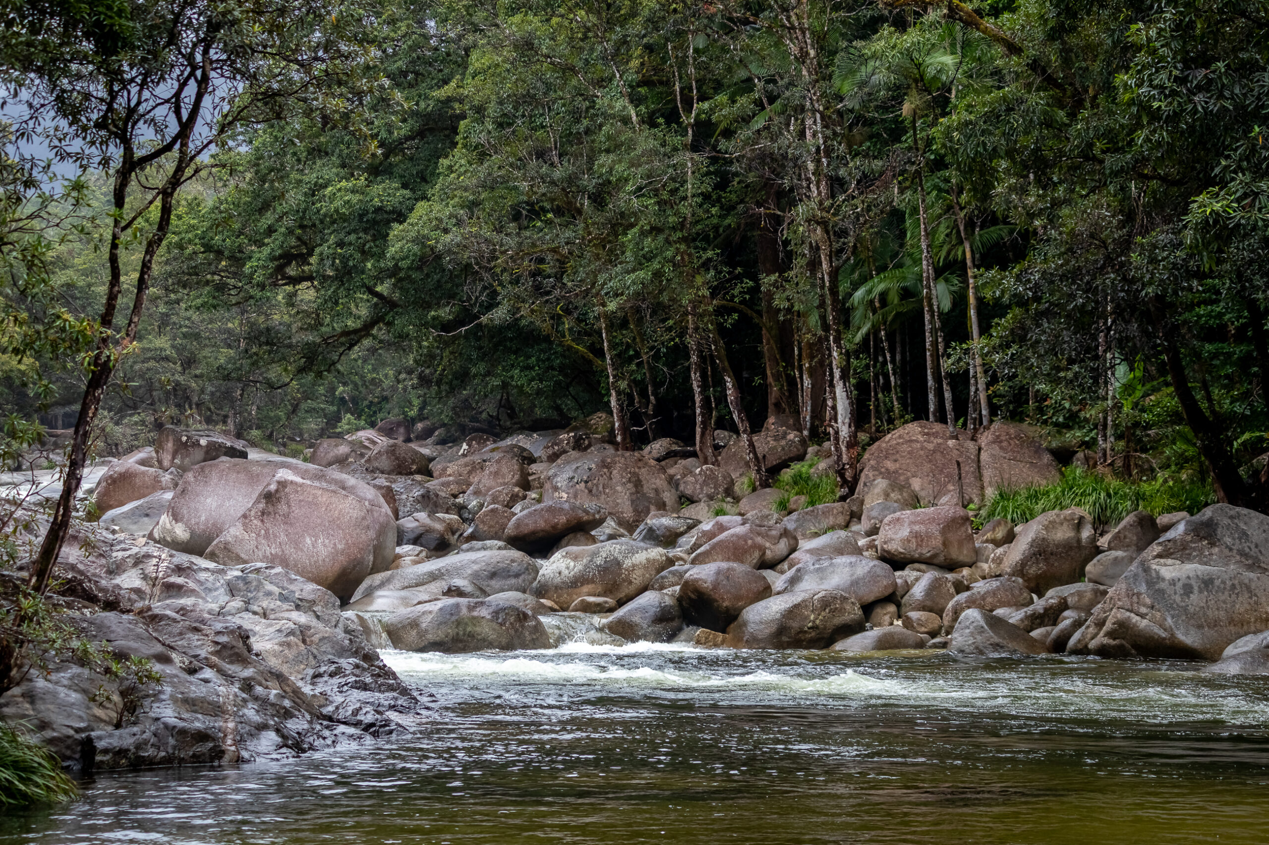 A river passes by some rocks and small trees