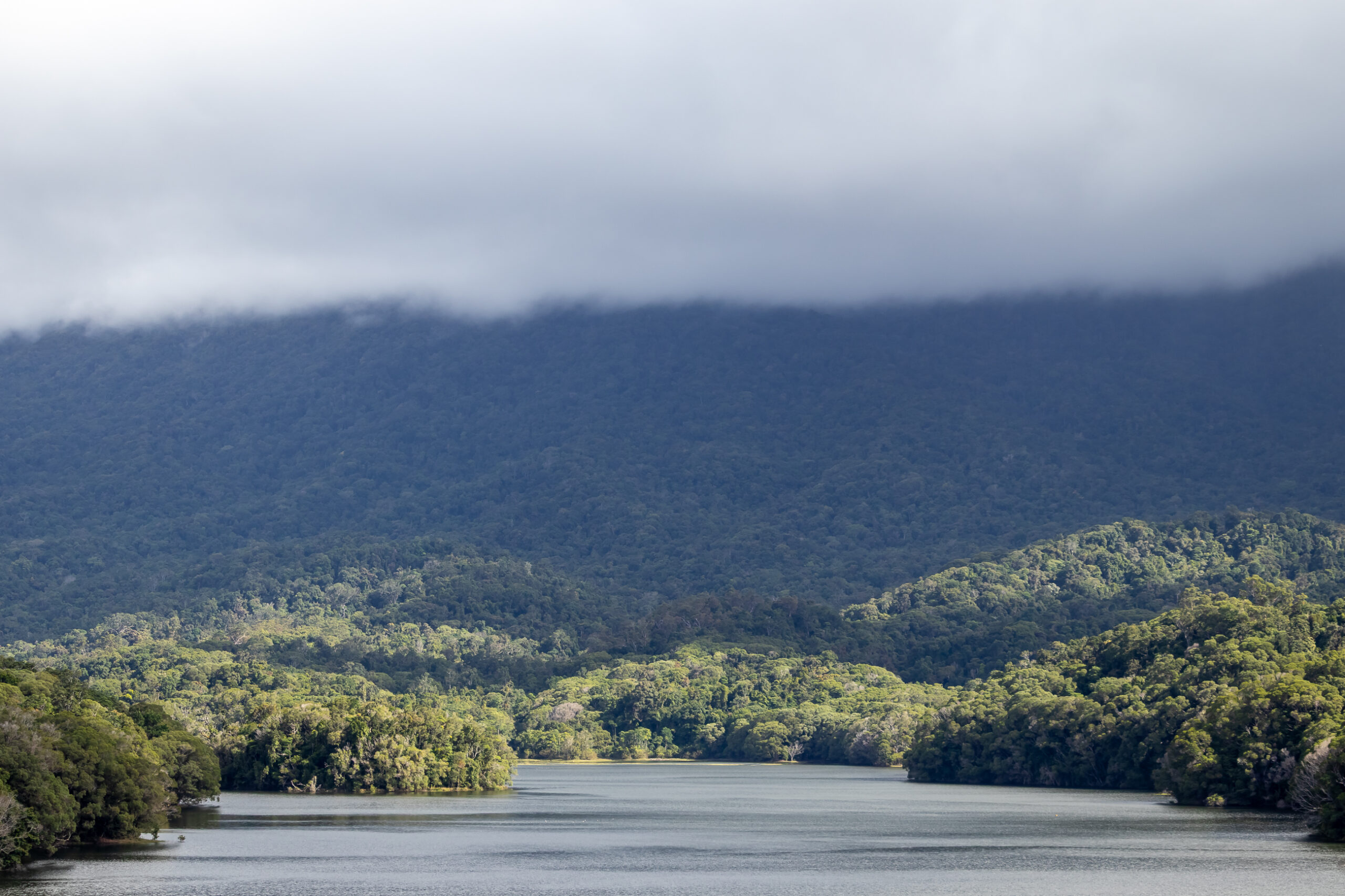 A dam surrounded by trees with cloud over the mountain in the background