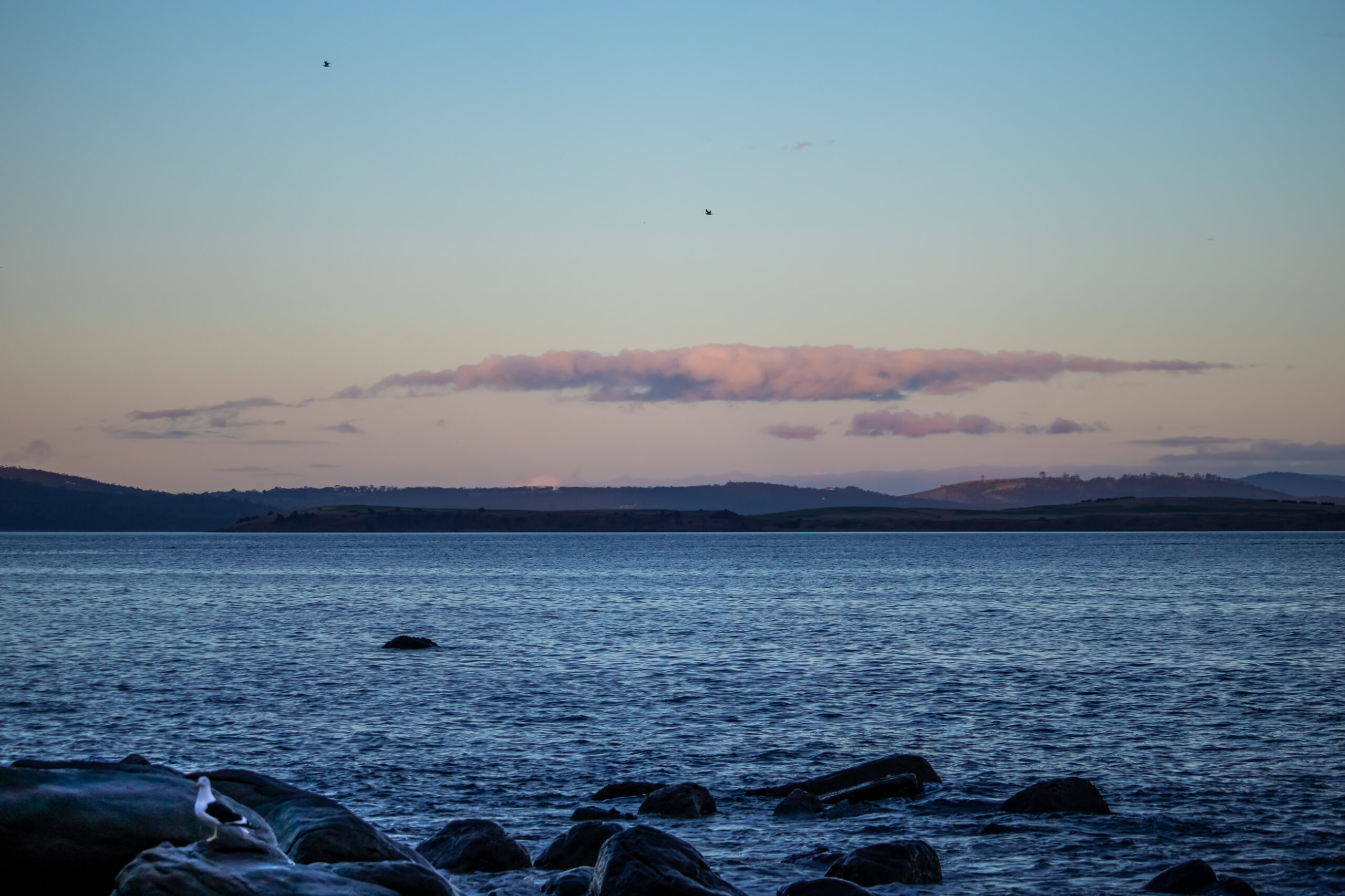 The beach in the late afternoon. The sky is turning pink