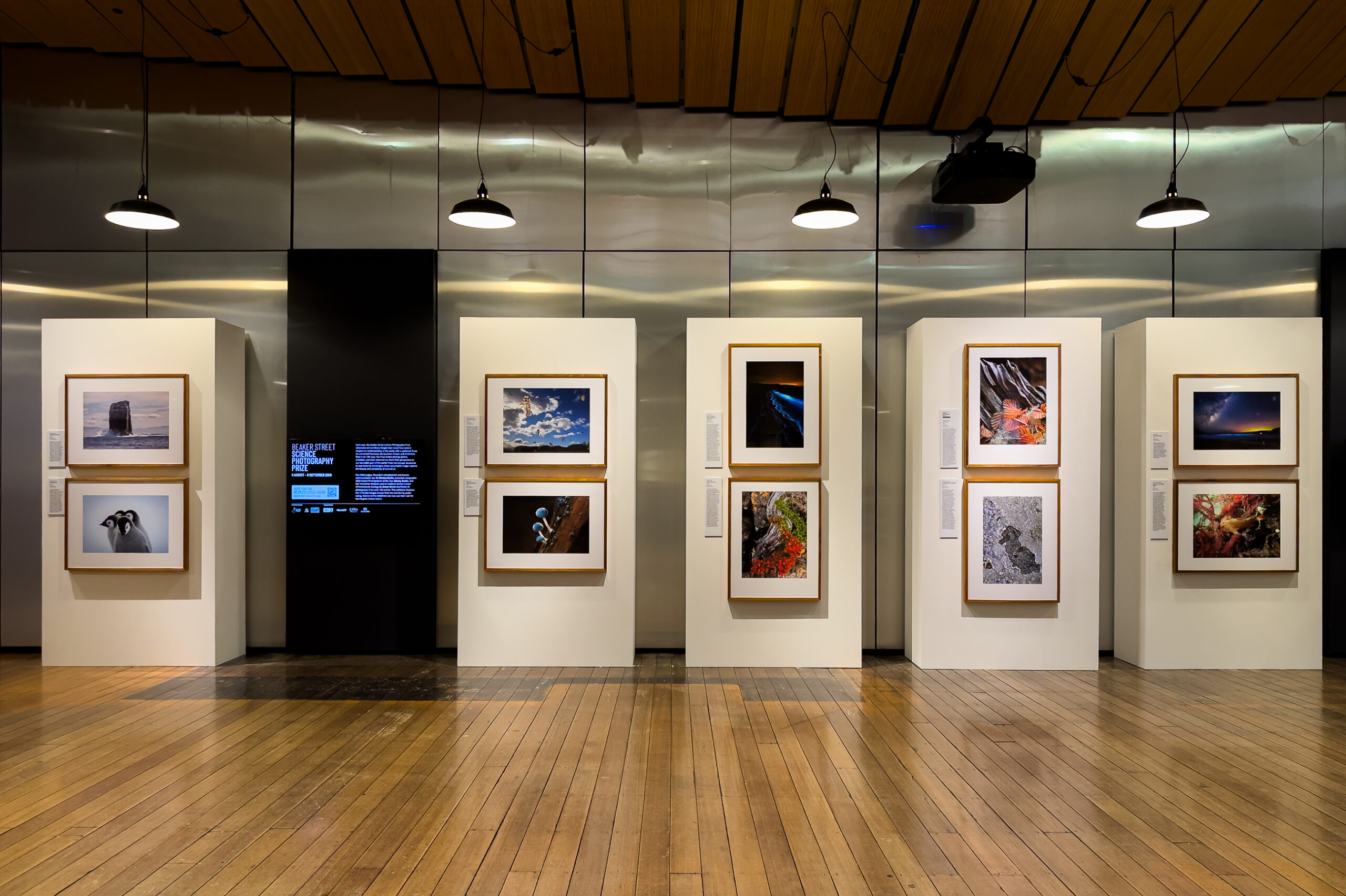 A wall of photographs in a museum hall with wooden floors